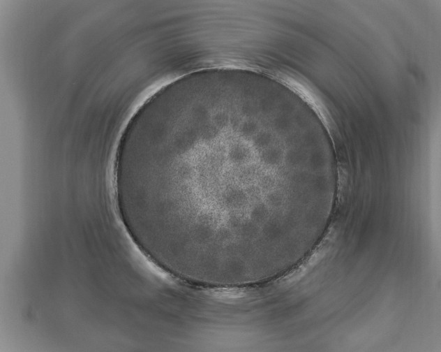 X0000112861141200908281558