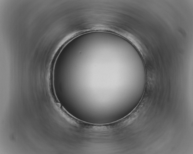 X0000112861142200908281558