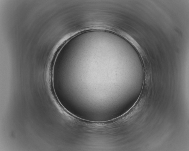 X0000112861144200908281558