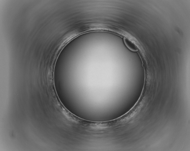 X0000112861145200908281558