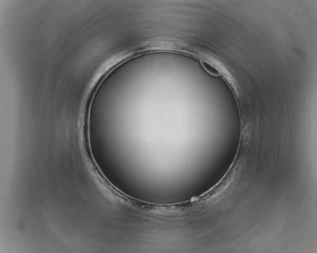 X0000112861146200908281558