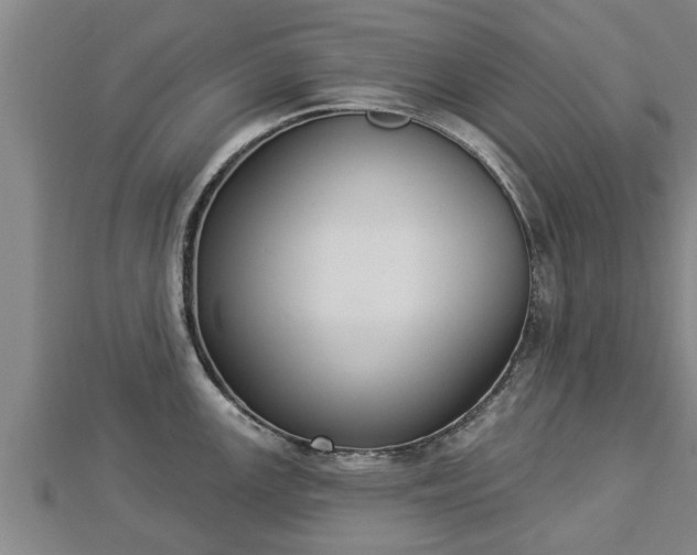 X0000112861147200908281558