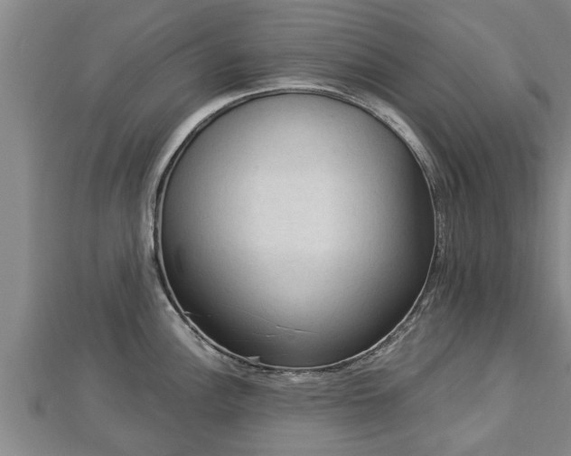 X0000112861148200908281558