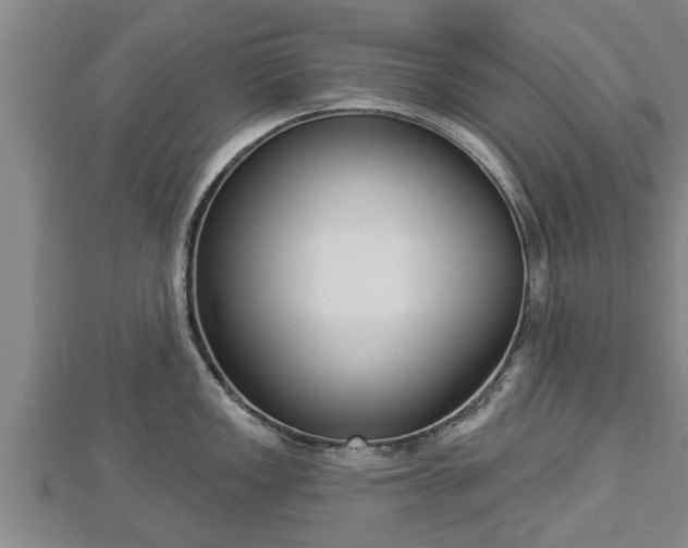 X0000112861149200908281558