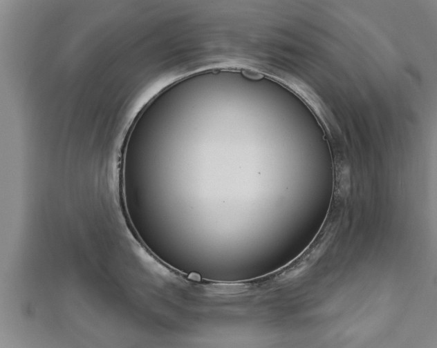 X0000112861151200908281558