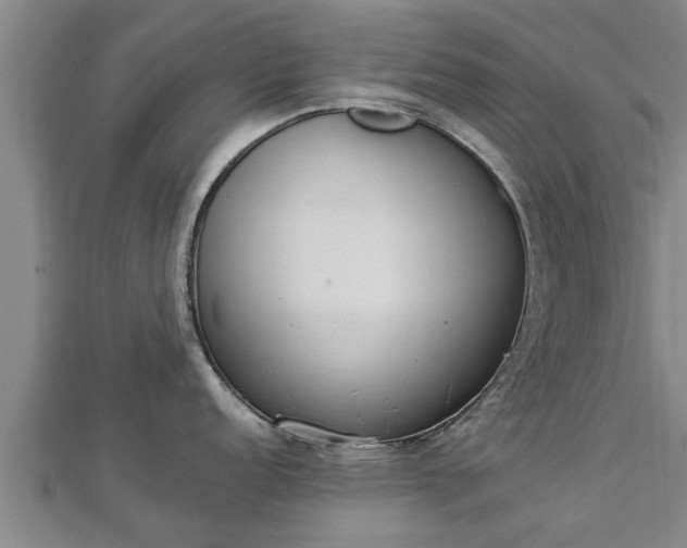 X0000112861152200908281558