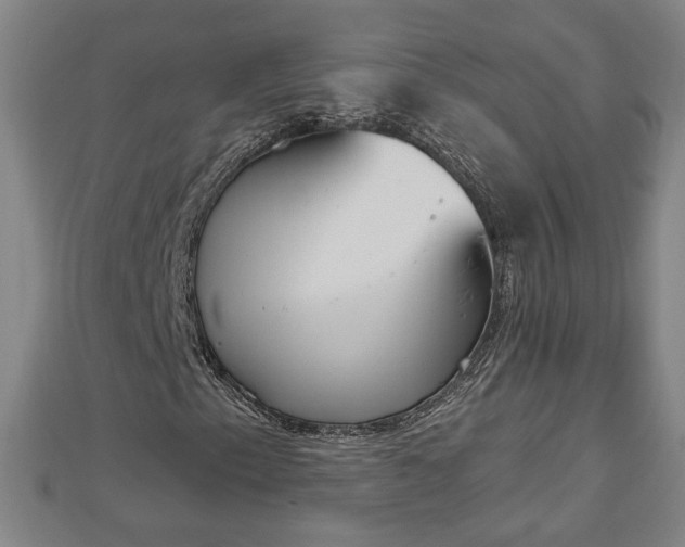 X0000112861153200908281557