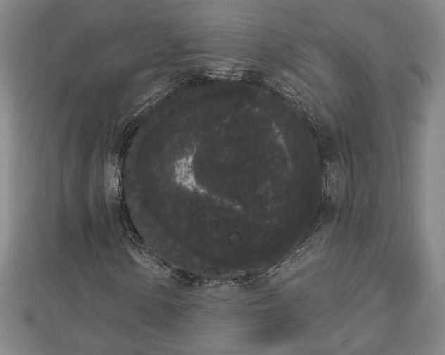 X0000112861154200908281557