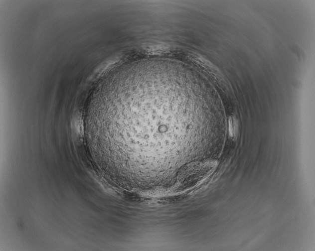 X0000112861155200908281557