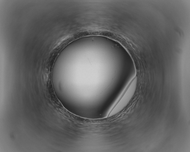 X0000112861157200908281557