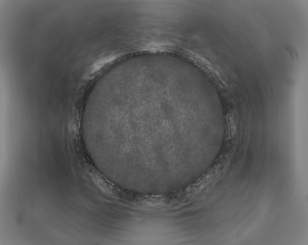 X0000112861158200908281557