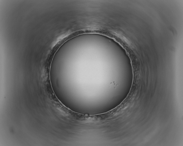 X0000112861160200908281557