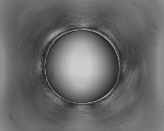 X0000112861163200908281557