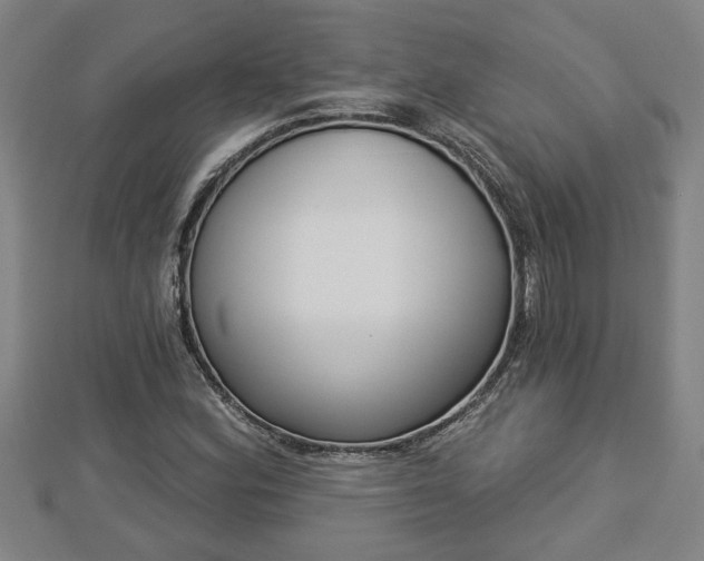 X0000112861164200908281557