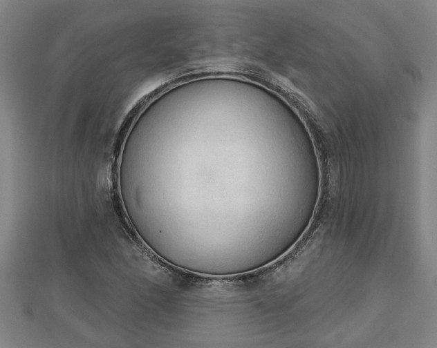 X0000112861166200908281557