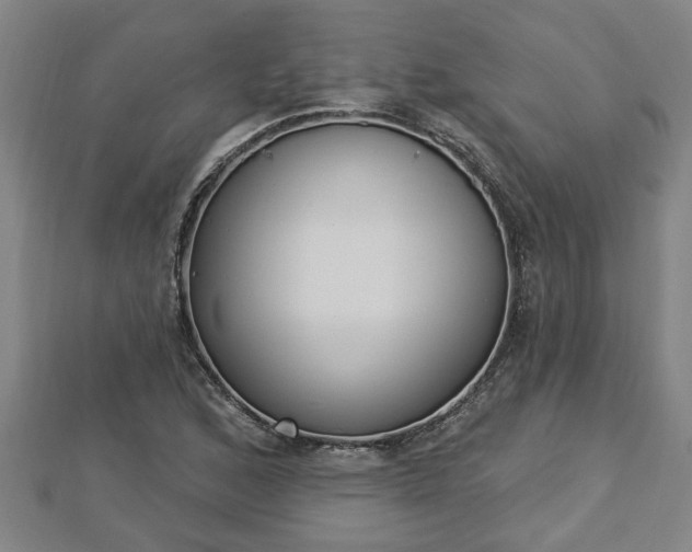 X0000112861168200908281557