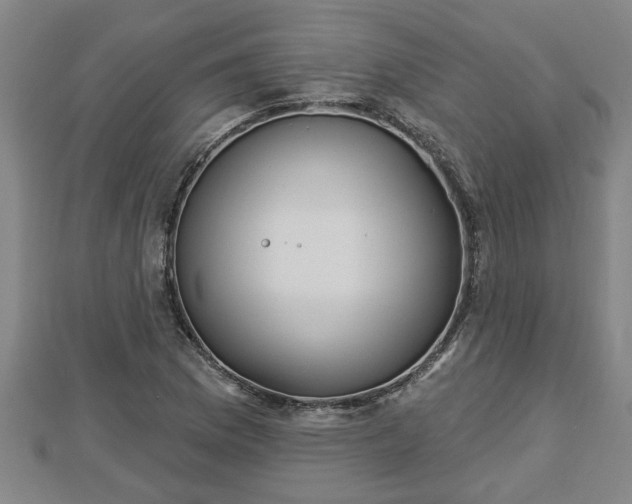 X0000112861169200908281557