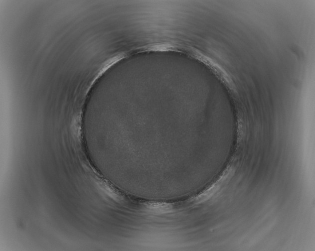 X0000112861170200908281557