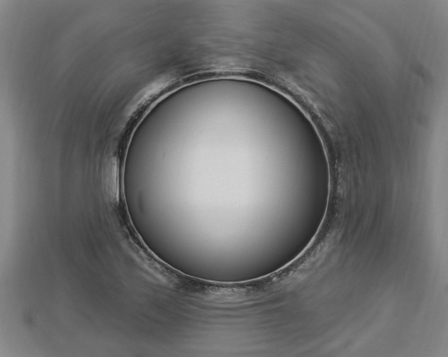 X0000112861171200908281557