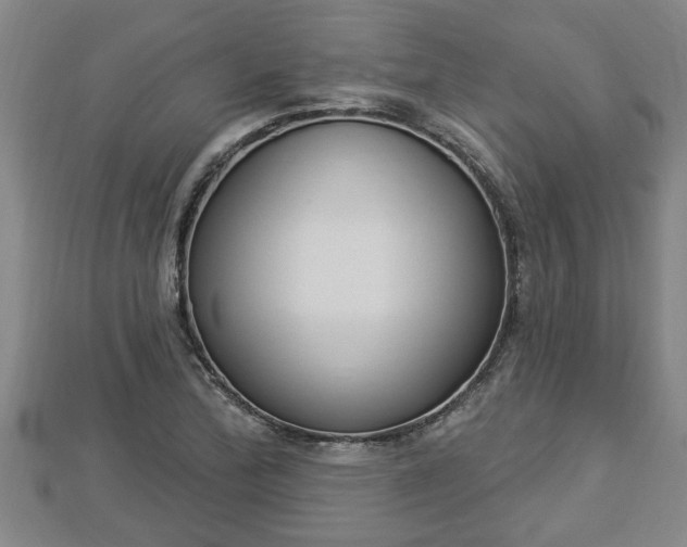 X0000112861172200908281557