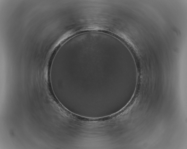 X0000112861173200908281557