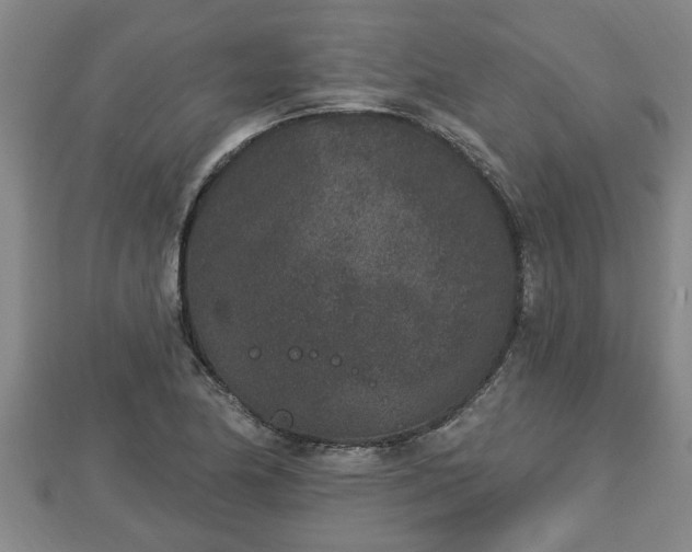 X0000112861174200908281557