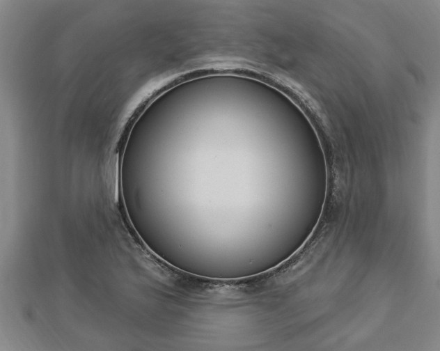 X0000112861175200908281557