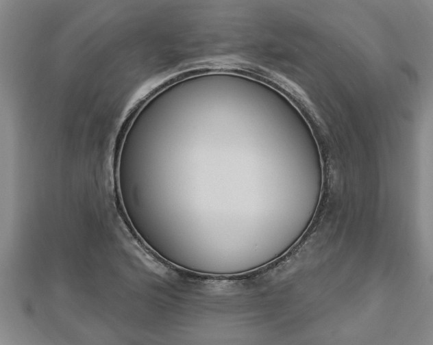 X0000112861176200908281557