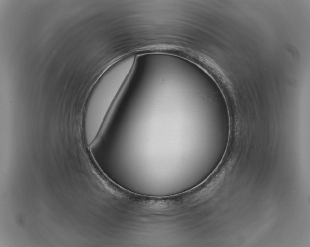 X0000112861177200908281557