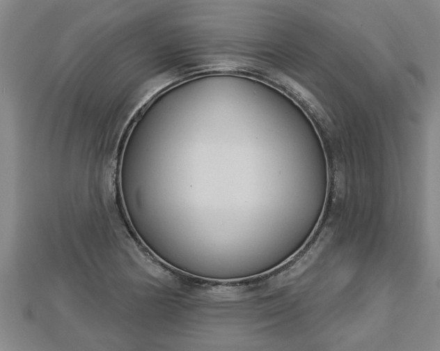 X0000112861178200908281557