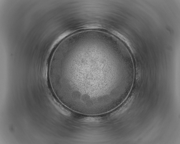 X0000112861179200908281557