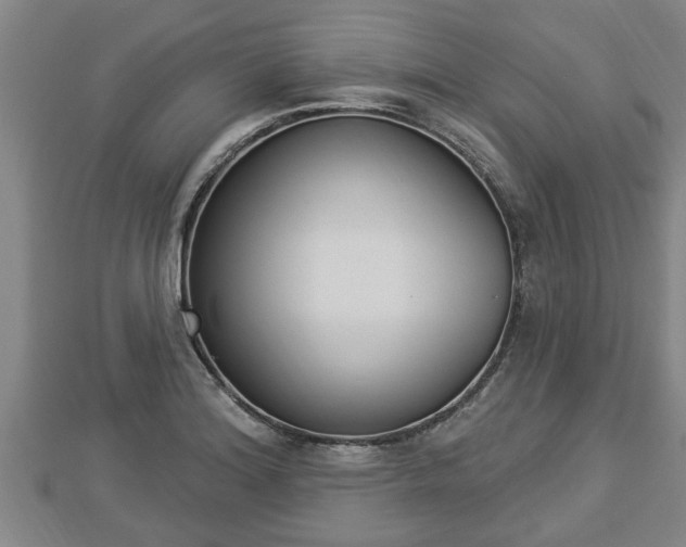 X0000112861180200908281557