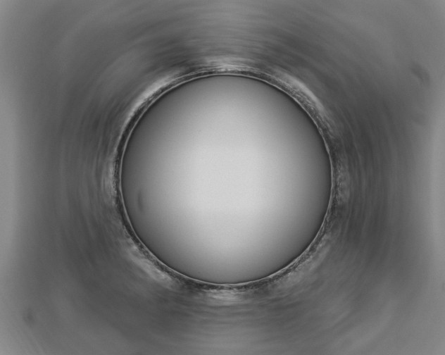 X0000112861182200908281557