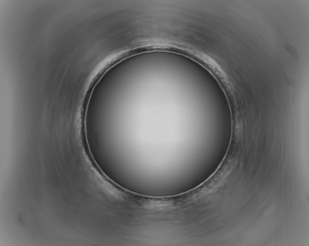 X0000112861183200908281557