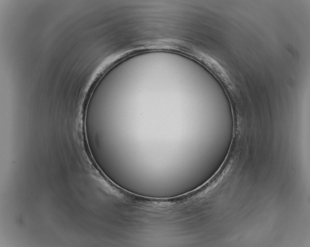 X0000112861184200908281557