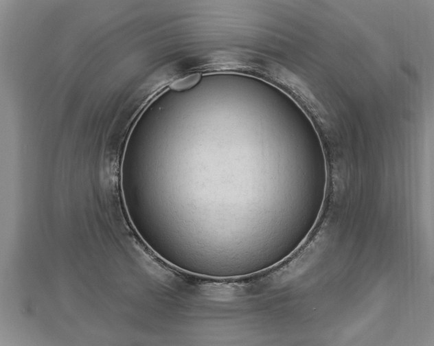 X0000112861185200908281557