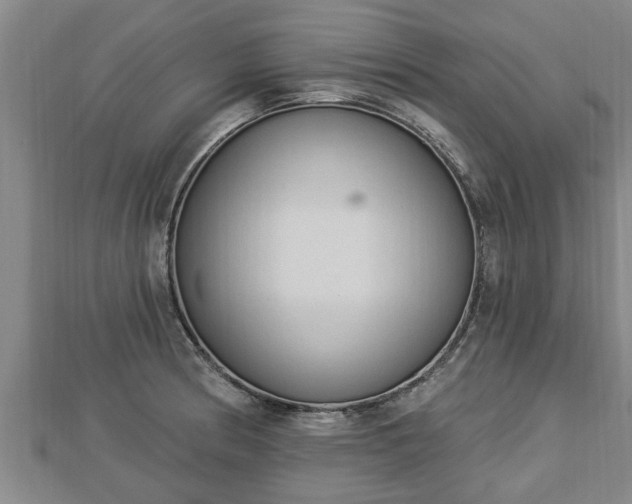 X0000112861186200908281557
