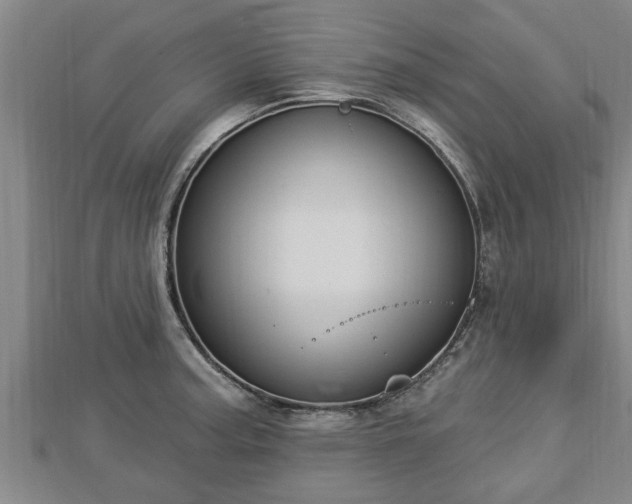 X0000112861187200908281557
