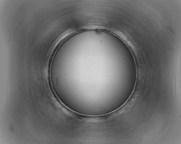 X0000112861189200908281557