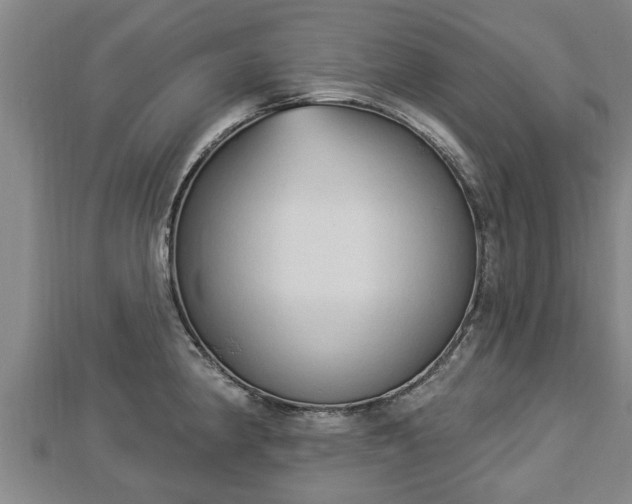 X0000112861190200908281557