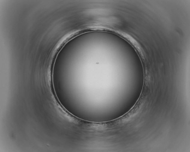 X0000112861191200908281557