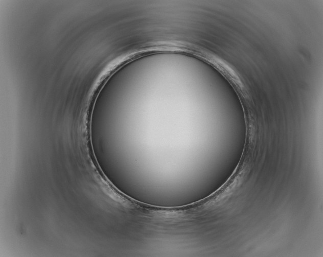 X0000112861192200908281557