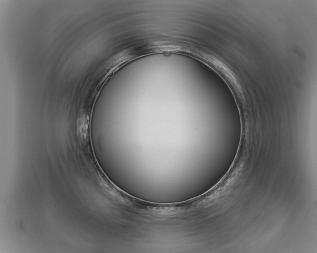 X0000112861193200908281557