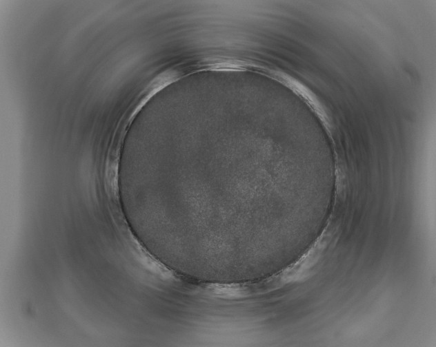 X0000112861194200908281557