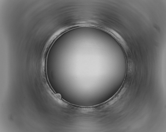 X0000112861196200908281557