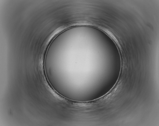 X0000112861197200908281557