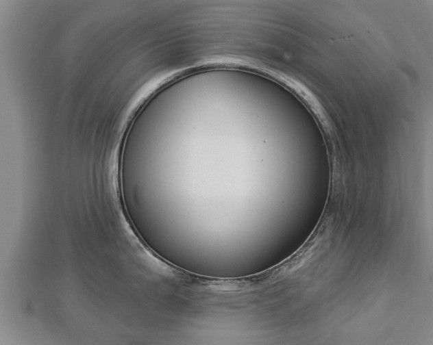 X0000112861199200908281557