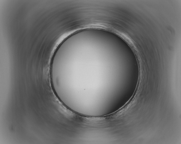X0000112861200200908281557