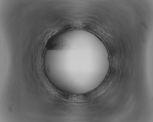 X0000112861201200908281556
