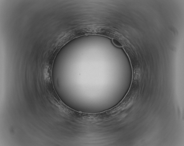 X0000112861202200908281556